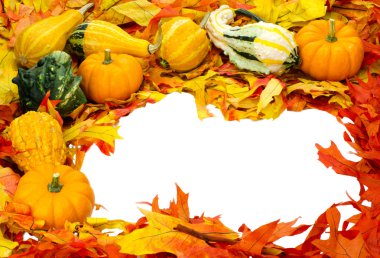 Fall or Thanksgiving or Halloween decoration isolated on white clipart