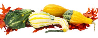 Sonbahar ya Şükran veya halloween dekorasyon üzerine beyaz izole