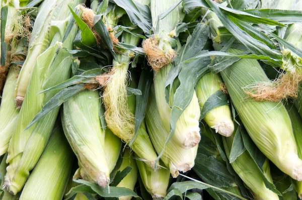 Sweet Corn at the farmer's market — Stock Photo, Image