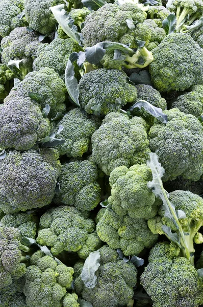 Broccoli op de boerenmarkt — Stockfoto