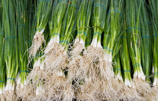 Зеленый лук на фермерском рынке — стоковое фото