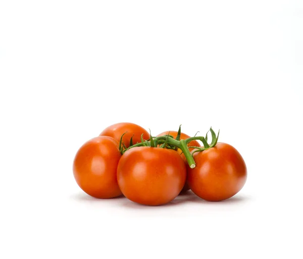 Fresh vine ripened tomatoes — Stock Photo, Image