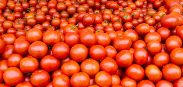 Świeże pomidory na wyświetlaczu — Zdjęcie stockowe