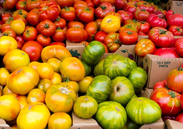 ディスプレイ上の家宝のトマト — ストック写真