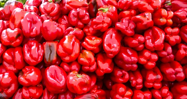 Red bell peppers on display — Stock Photo, Image