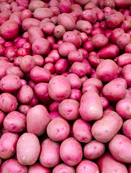 ディスプレイ上の赤いジャガイモ — ストック写真