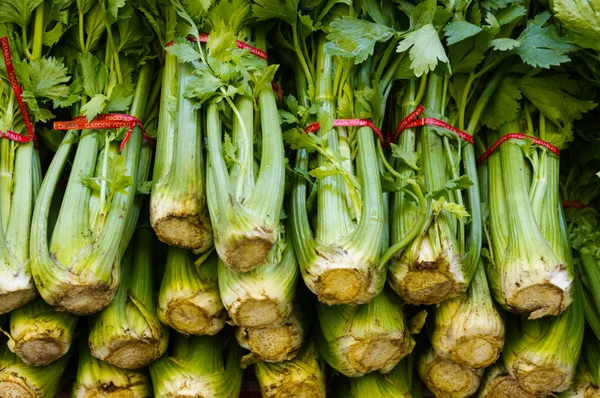 Celery on display — Stock Photo, Image