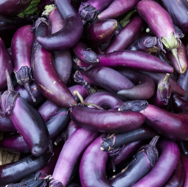 Eggplant on display — Stock Photo, Image