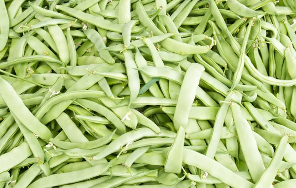 Flat green beans on display — Stock Photo, Image