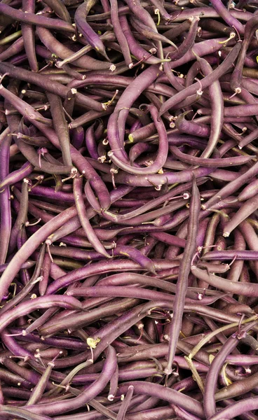 Purple string beans on display — Stock Photo, Image