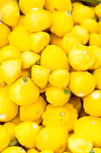Yellow squash on display — Stock Photo, Image