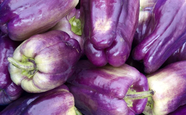 Purple bell peppers on display — Stock Photo, Image