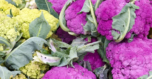 Stock image Yellow and purple cauliflower on display