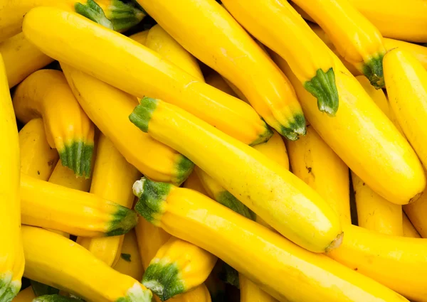 Calabaza amarilla fresca en exhibición — Foto de Stock