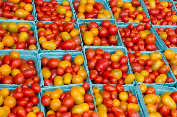 Cherry tomatoes on display — Stock Photo, Image