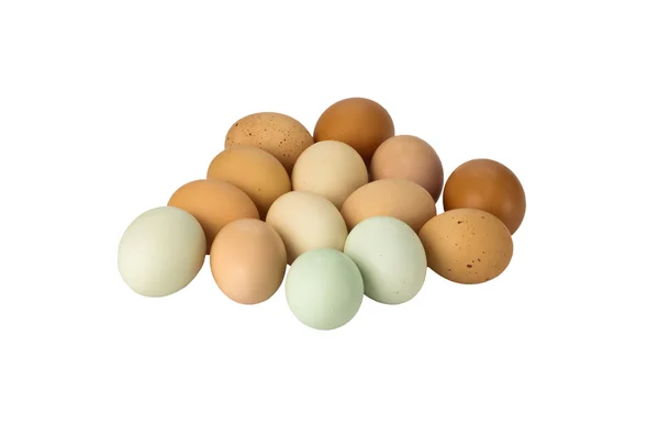 Κοτόπουλο αυγά φρέσκα ελευθέρας βοσκής — Φωτογραφία Αρχείου
