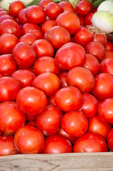 Tomates rojos maduros en exhibición — Foto de Stock