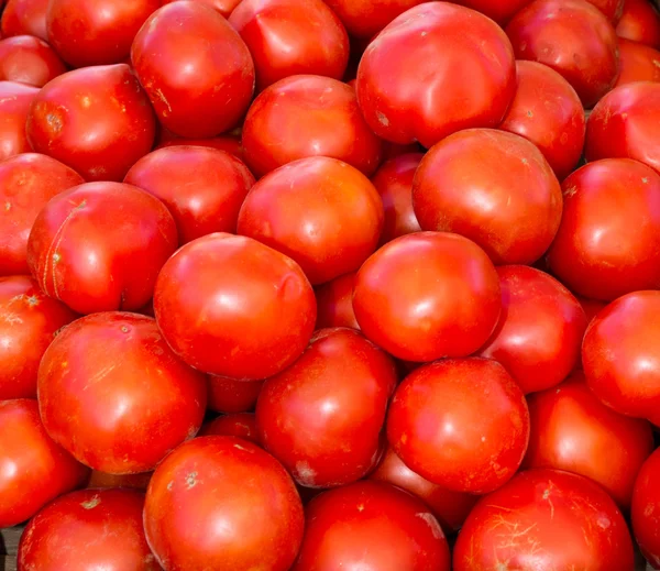 Tomates mûres rouges exposées — Photo