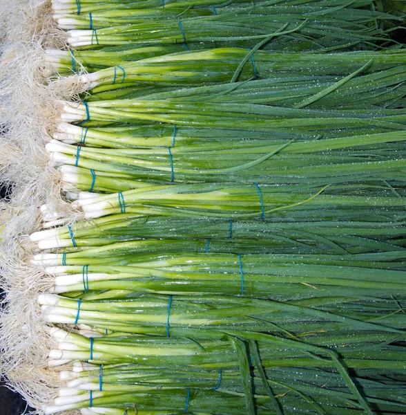 Зеленый лук или скальоны на фермерском рынке — стоковое фото
