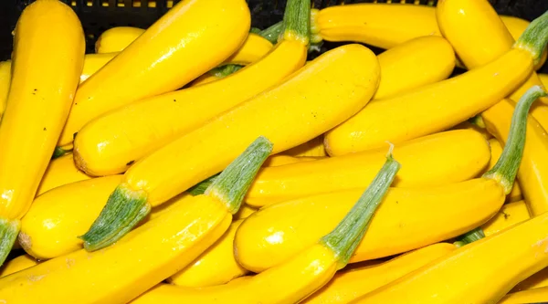 Calabaza amarilla en exhibición en el mercado de agricultores — Foto de Stock