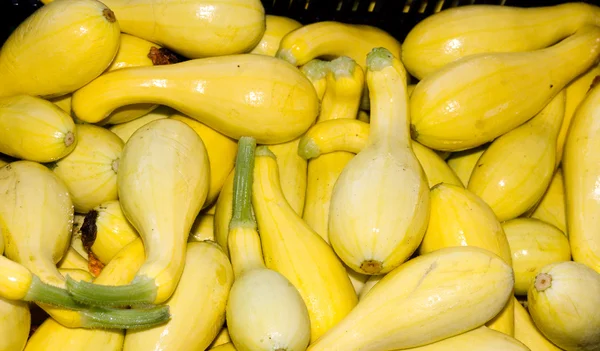 Sárga squash a kijelzőn a farmer's market — Stock Fotó