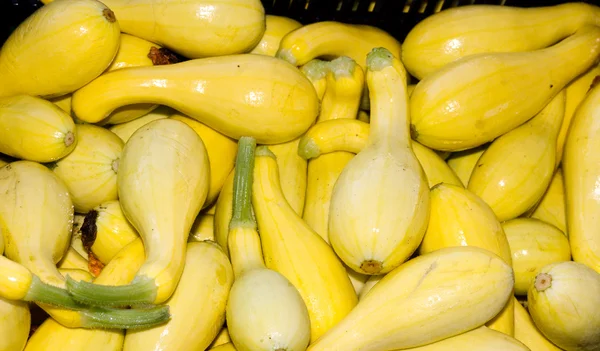 Calabaza amarilla en exhibición en el mercado de agricultores — Foto de Stock