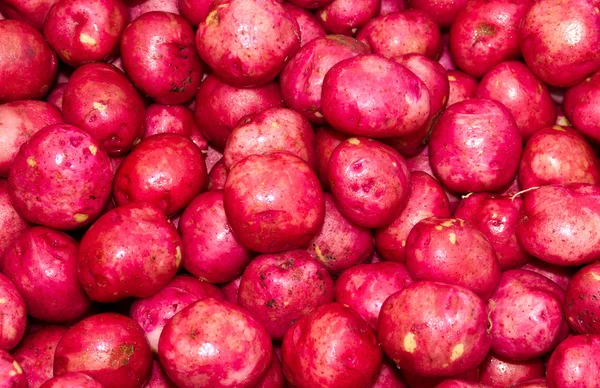 Batatas vermelhas em exposição no mercado do agricultor — Fotografia de Stock