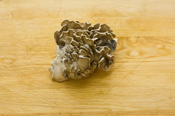 Maitake mushrooms on wooden table — Stock Photo, Image