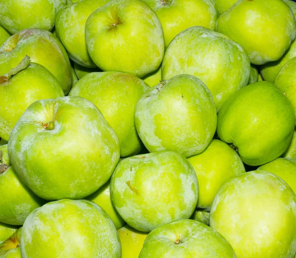 Яблоки Гравенштайна на выставке — стоковое фото