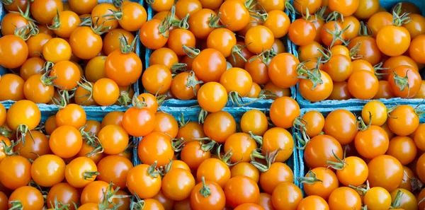 Tomates cereja laranja em caixas — Fotografia de Stock