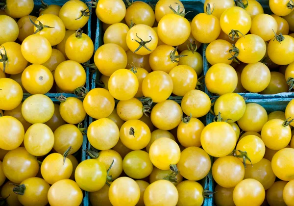 Tomates cherry amarillos en cajas de pinta — Foto de Stock