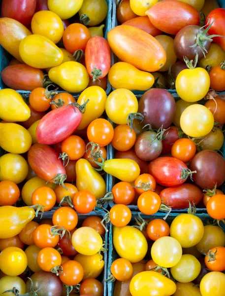 Tomates pequenos misturados na exposição em caixas — Fotografia de Stock