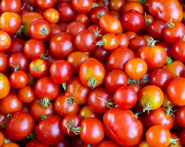 Verse tomaten op het display op de boerenmarkt — Stockfoto