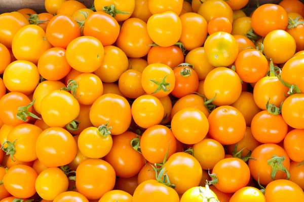橙色的樱桃西红柿 — 图库照片