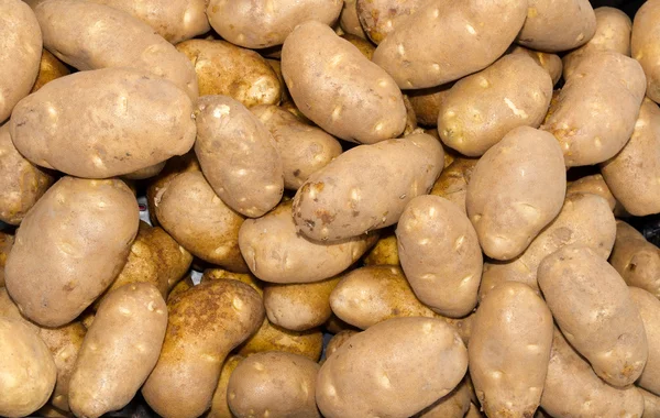 Russet baking potatoes on display — Stock Photo, Image