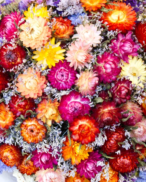 Bouquet de fleurs séchées — Photo