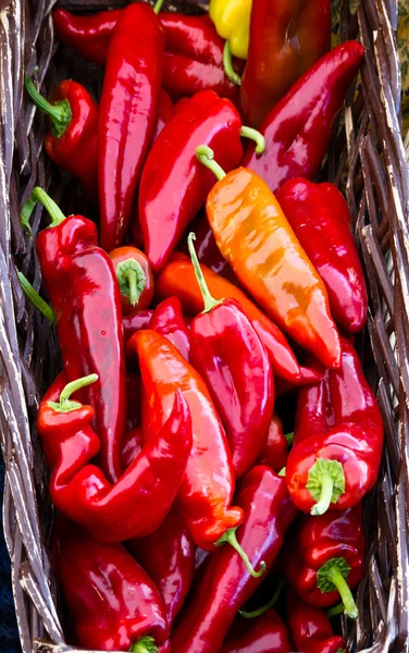 Basket of red hot peppers — Stock Photo, Image