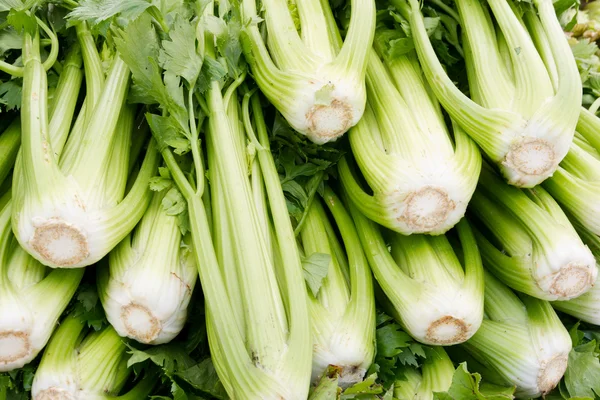 Green celery on display — Stock Photo, Image