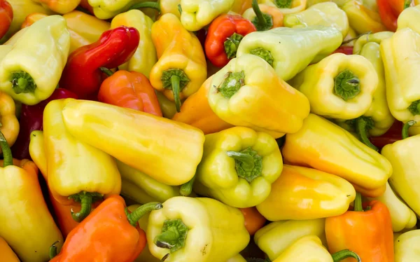 Colorful peppers on display — Stock Photo, Image