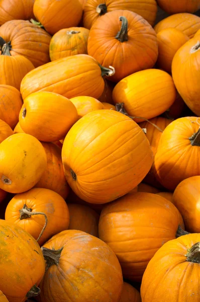 Pumpkins for Halloween ready for sale — Stock Photo, Image