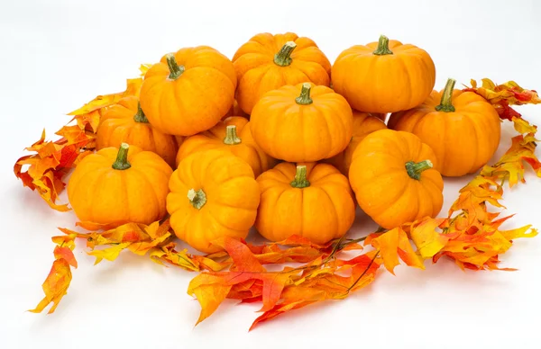 Colorful fall leaves and pumpkins — Stock Photo, Image