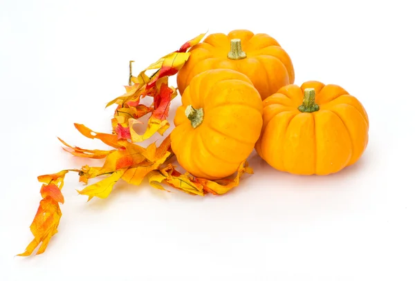 Hojas coloridas de otoño y calabazas — Foto de Stock