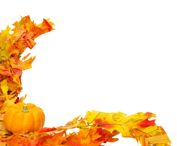 Liten pumpa på färgglada löv — Stockfoto