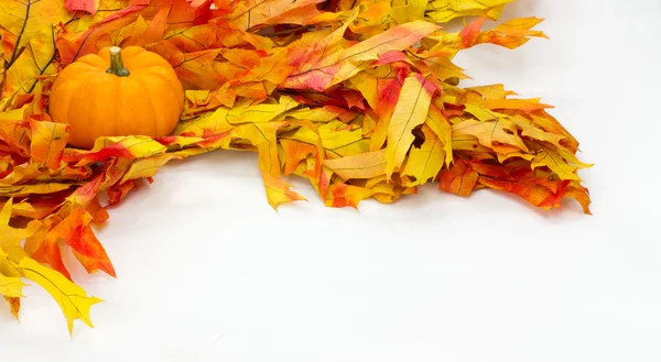 Colorful fall leaves and pumpkins — Stock Photo, Image
