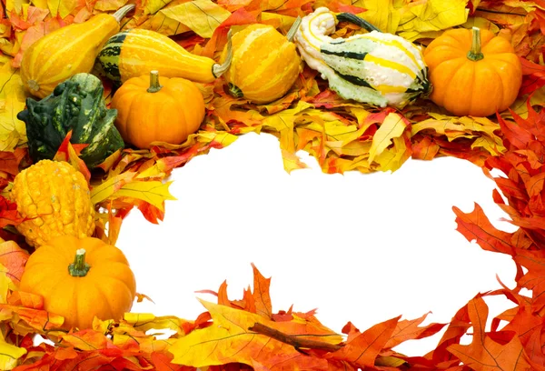 白で隔離される秋または感謝祭やハロウィーンの装飾 — ストック写真