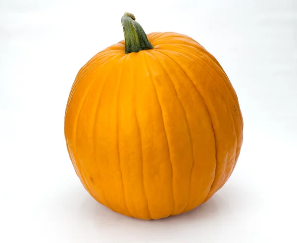 Orange pumpkin or squash on white — Stock Photo, Image