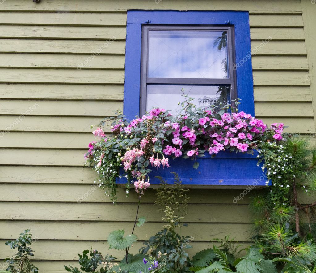 Window box with flowers — Stock Photo © zigzagmtart 9392864