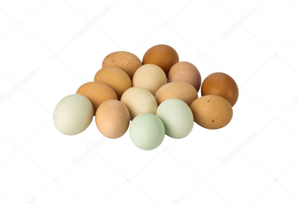 Fresh free range chicken eggs