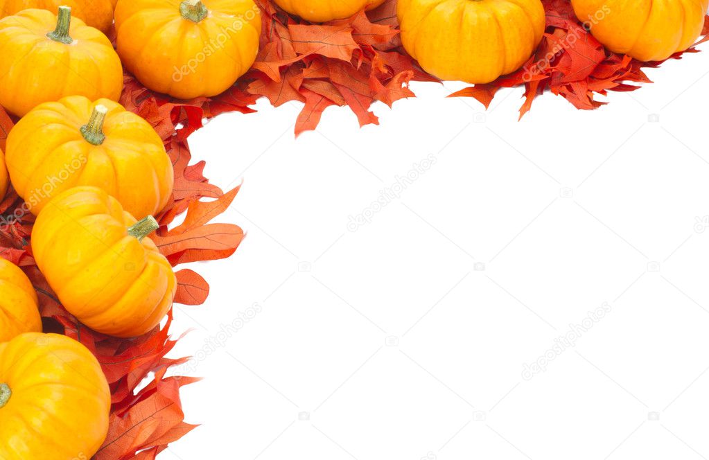 Small pumpkins on oak leaves