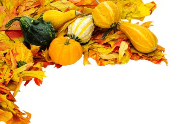 Fall or Thanksgiving or Halloween decoration isolated on white clipart